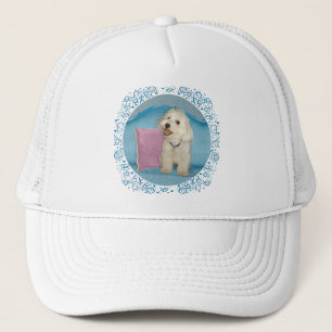 Casquette Pet havanais sur canapé turquoise
