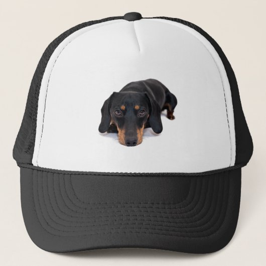 Casquette Petit chien de teckel (Devant)