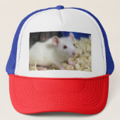 Casquette Petit rat (Devant)