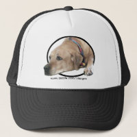 Photo de chien Rhodesian Ridgeback