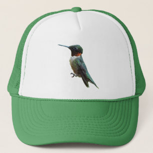 Casquette Photographie d'oiseau Colibri à gorge rubis