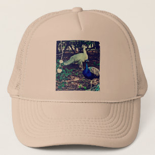Casquette Pics vintages