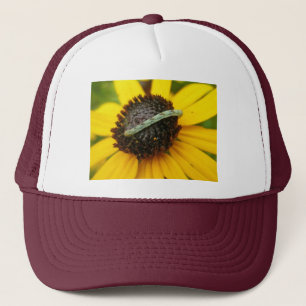Casquette Pièces de coordination de chenille de Carlin commu