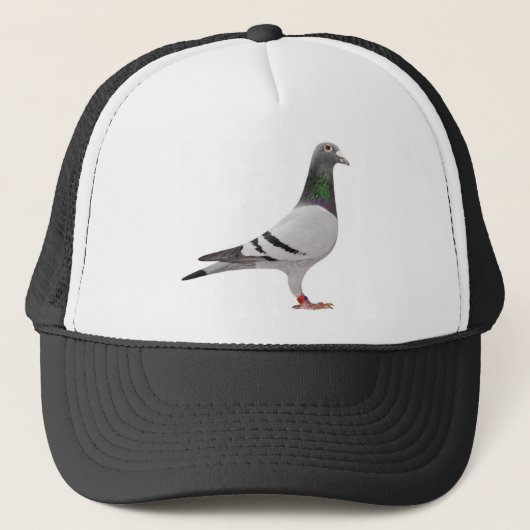 Casquette pigeon design (Devant)