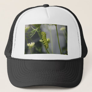 Casquette Pilière à queue noire (chenille) sur Dil
