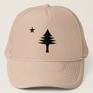 Casquette Pin et étoile 1901 drapeau de l'état du Maine
