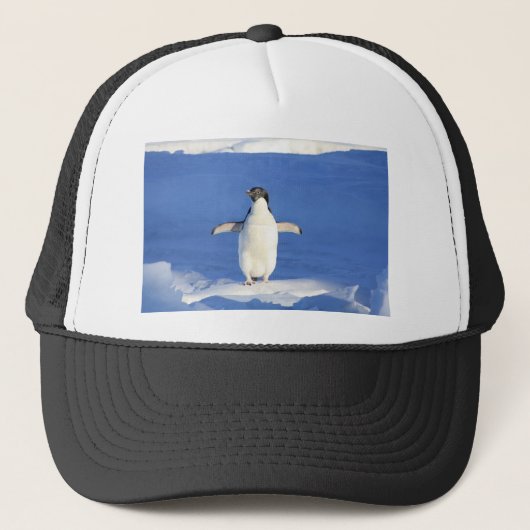 Casquette Pingouin (Devant)