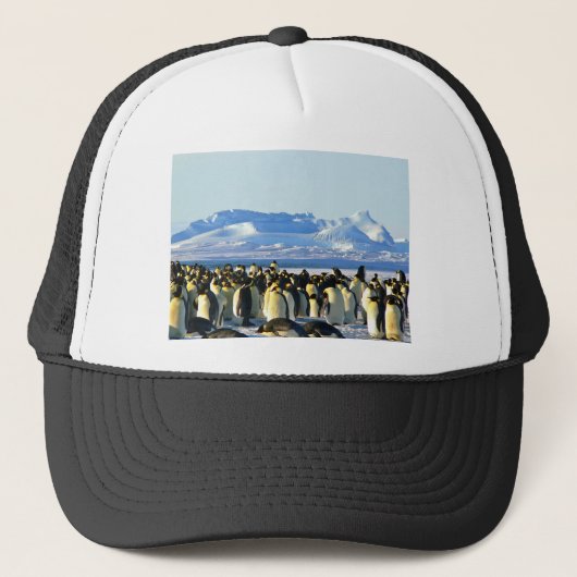 Casquette Pingouins empereurs (Devant)