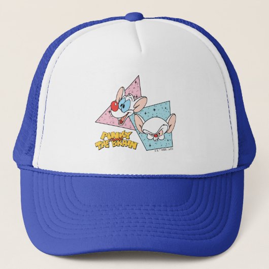 Casquette Pinky and the Brain | Retro Character Graphics (Devant)