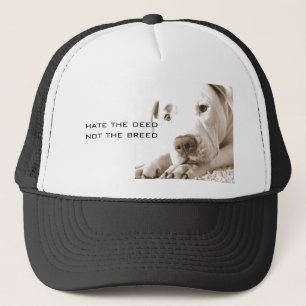 Casquette pitbull blanc endormi et amical, la haine n'est pa