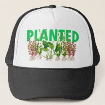 CASQUETTE PLANTÉ