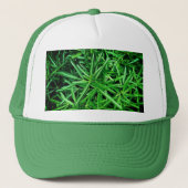 Casquette Plante vert (Devant)