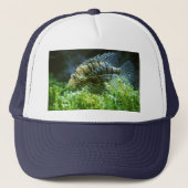 CASQUETTE POISSON (Devant)