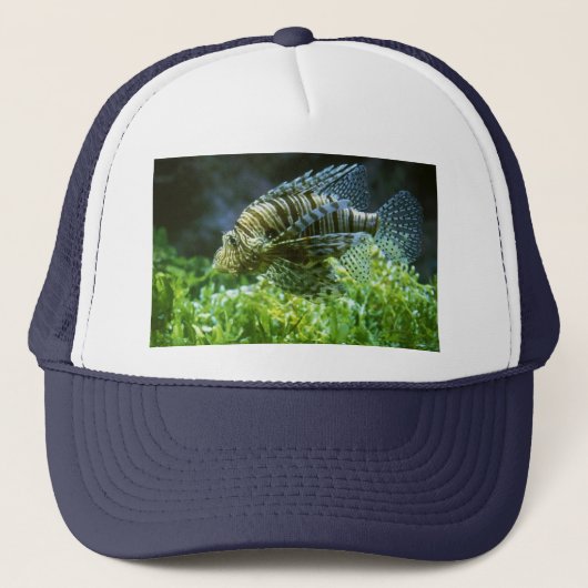 CASQUETTE POISSON (Devant)