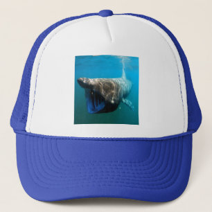 Casquette Poisson de requin Océan tropical Destin Cadeaux