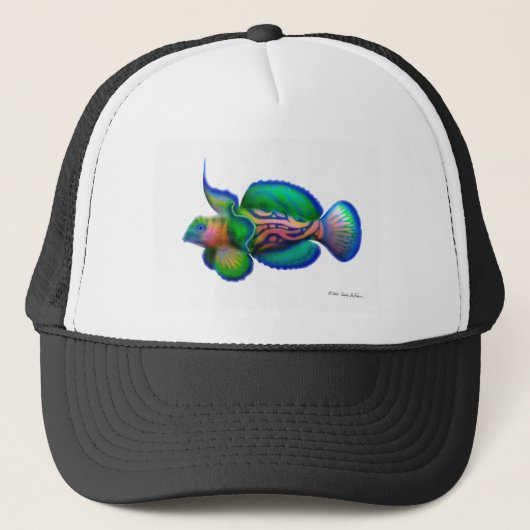 Casquette Poissons de Dragonet de mandarine (Devant)