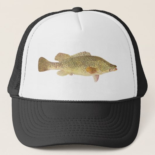 Casquette Poissons - morue de Murray - macquariensis de (Devant)