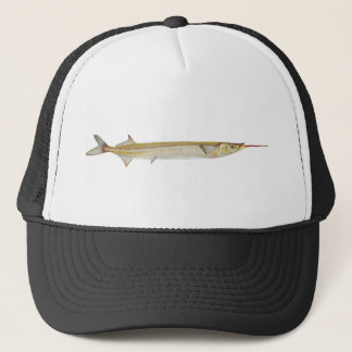 Casquette Poissons - orphie - intermedius de Hyporhamphus