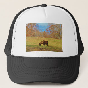 Casquette Pony miniature Brown