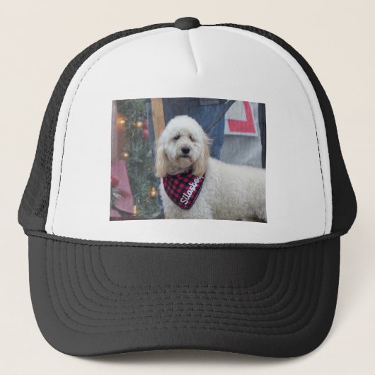 Casquette Poodle (Devant)