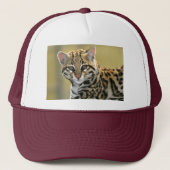 Casquette Portrait d'Ocelot (Devant)
