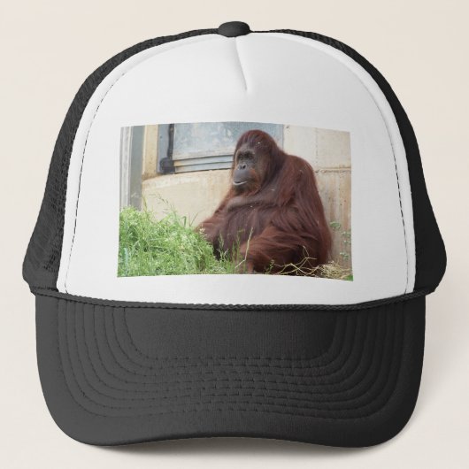 Casquette Portrait d'orang-outan (Devant)