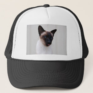 Casquette Portrait siamois de chat