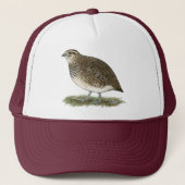 Casquette Poule de cailles de Coturnix (Devant)