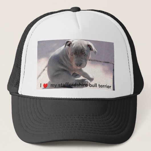 Casquette pour tous les amants de bull-terrier du (Devant)