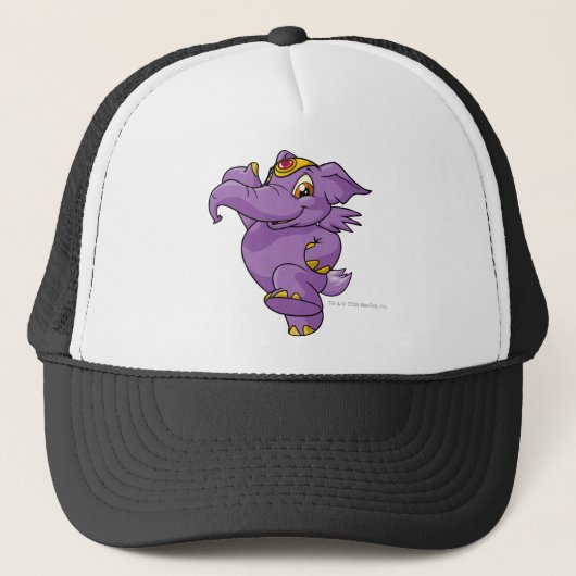 Casquette Pourpre d'Elephante (Devant)