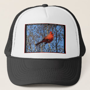 Casquette Promenade de Hot Springs Mountain Cardinal Gifts