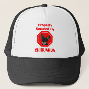 Casquette Propriété fixée par le chiwawa