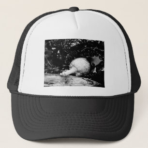 Casquette protecteur sombre