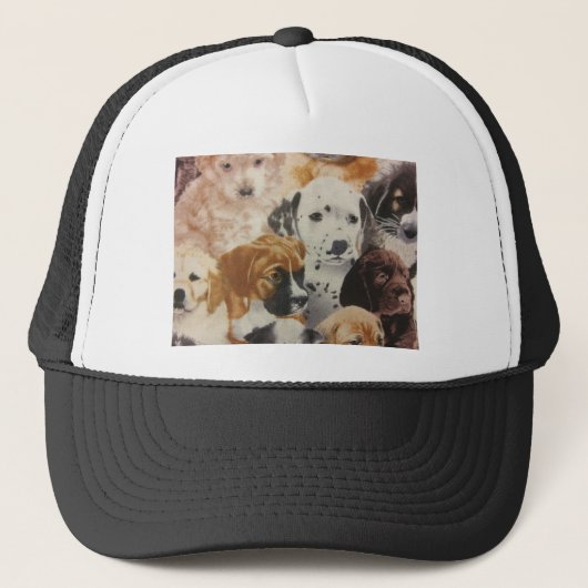 Casquette Pups dalmatiens et boxers (Devant)