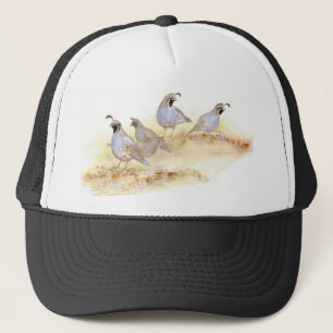 Casquette Quail de Californie, oiseaux, nature, faune,