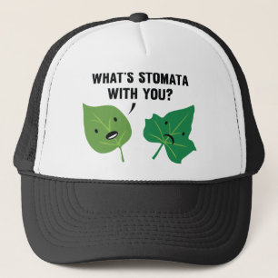 Casquette Qu'est-ce que Stomata avec toi ?