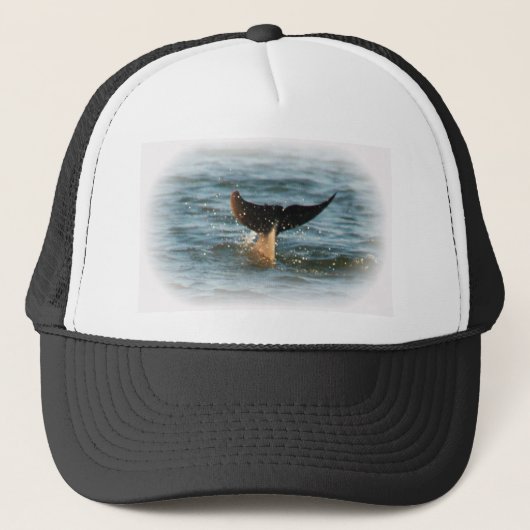 Casquette Queue de dauphin (Devant)