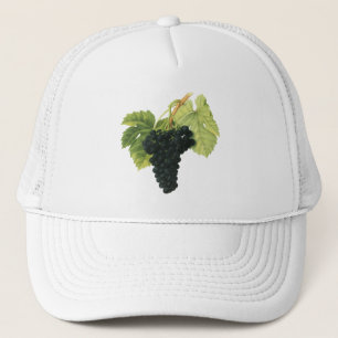 Casquette Raisin de vigne biologique vin rouge vintage, alim