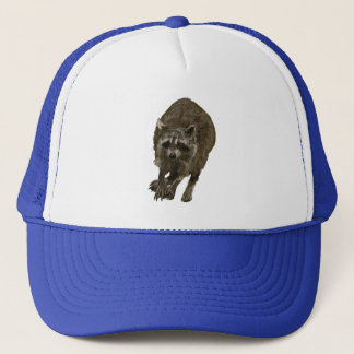 Casquette Raton laveur