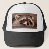 Casquette Raton laveur (Devant)