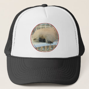 Casquette Réflexion du Pékinois