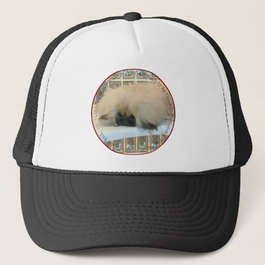 Casquette Réflexion du Pékinois (Devant)