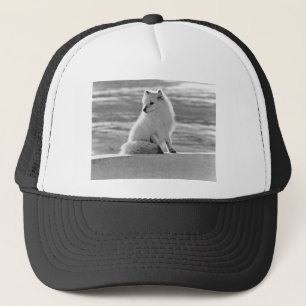 Casquette Renard arctique d'Alaska USA vintage