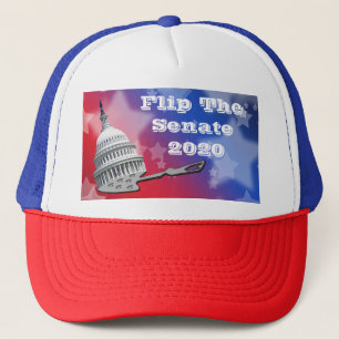 Casquette Retourner Le Vote 2020 Du Sénat