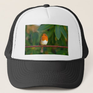 Casquette Robin de Noël