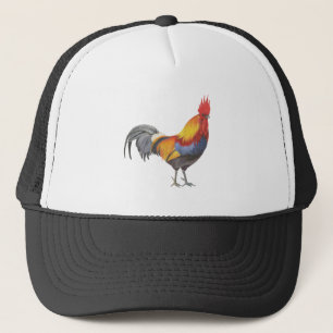 Casquette Rooster