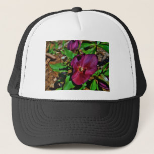 Casquette Rose de carême rose Bourgogne