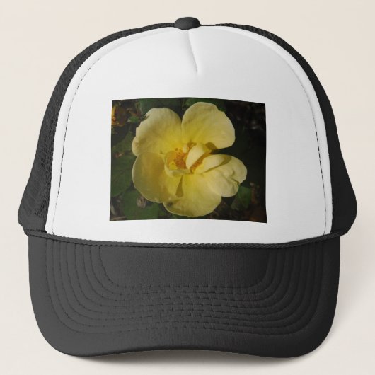 Casquette Rose jaune sauvage (Devant)