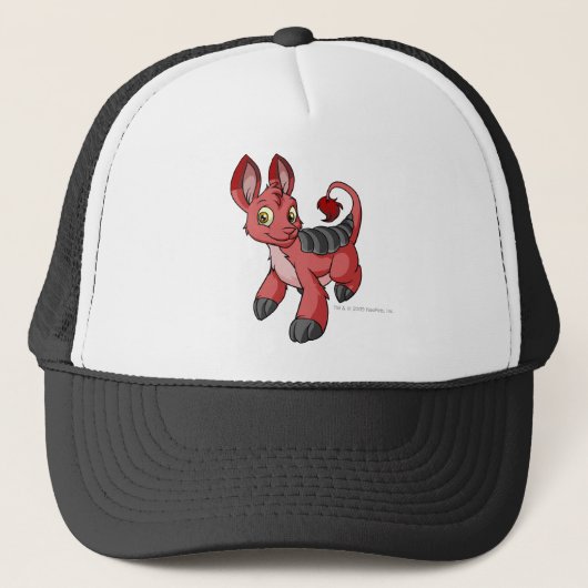 Casquette Rouge de Bori (Devant)