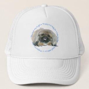 Casquette Sagesse de Pékin - Comment obtenir un chiot
